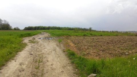 Синютка виділив приватній фірмі землю у Миколаївському районі