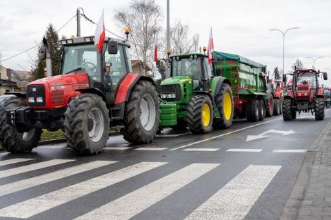 Польські фермери починають масштабні протести щодо імпорту з України