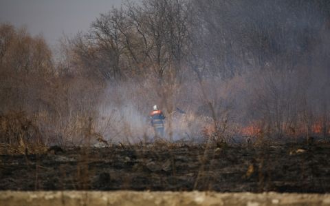 У Бориславі горів чагарник