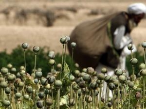 Червоноградські міліціонери двічі впіймали наркомана