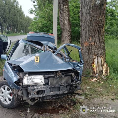 На трасі Жовква – Ковель автівка в’їхала у дерево: постраждали двоє людей