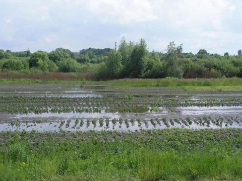 На Сокальщині негода підтопила будівлі