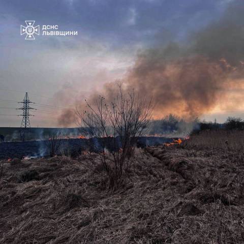 За добу на Львівщині зафіксували майже 50 пожеж сухостою