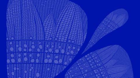 Погода на вівторок: ясно, 0°C