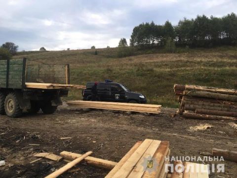 На території двох районів Львівщини виявили більше 100 нечіпованих колод дерев