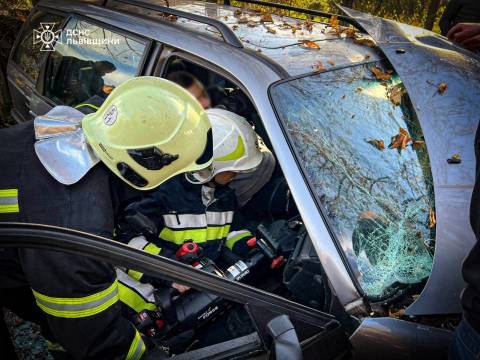 У Дрогобичі водій Volkswagen Passat в’їхав в дерево