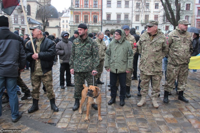 Бійцями-добровольцями АТО визнали ще сім мешканців Львівщини