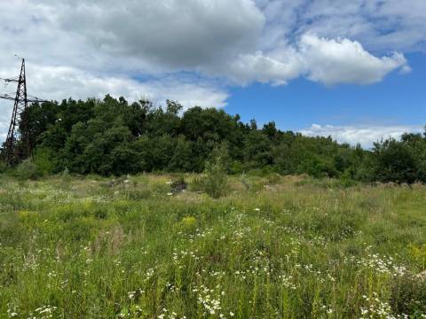 ТМО №1 планує збудувати фармацевтичний завод у Львові