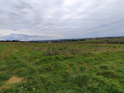Ділянку в Гряді планують здати в оренду за 10 тисяч гривень