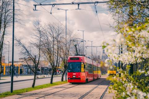 У Львові збільшили кількість  громадського транспорту на маршрутах до кладовищ 
