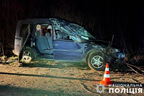 На Стрийщині через п'яного водія троє неповнолітніх пасажирів опилися у лікарні