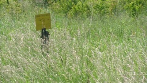 На Львівщині судитимуть підприємця, який незаконно присвоїв землю Міноборони