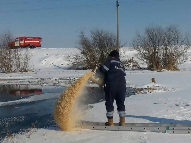 Самбірські надзвичайники рятували лебедів