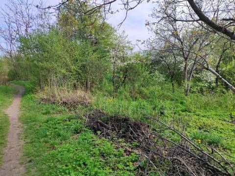 У Львові виставлять на продаж ділянки під автосалон та придорожній сервіс