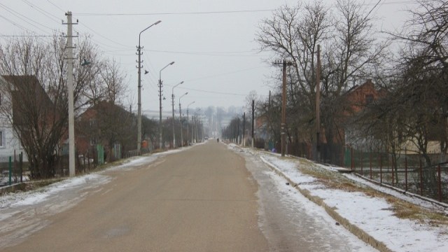 Львівська ОВА не має інструментів для розчищення доріг в області