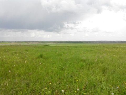 На Жидачівщині чиновники сільради незаконно передали земельні ділянки у приватну власність