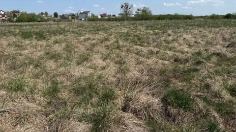 У Львівській громаді виставили на продаж низку ділянок під готель, комерцію та житло