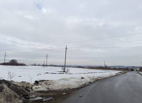 Львів планує викупити ділянки біля Лисиничів для облаштування нового цвинтаря