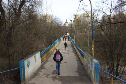 У Львові передбачили 200 тисяч на створення сайту про львівські парки