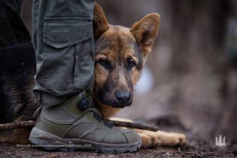 Генштаб ЗСУ оприлюднив втрати росіян на 18 липня