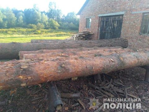 На Яворівщині біля пилорами виявили нечіповані колоди дерев