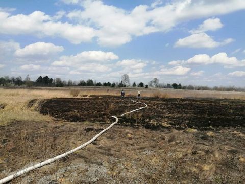 У Городоцькому районі рятувальники гасили пожежу торфу