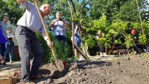 В Історико-краєзнавчому музеї у Винниках висадили виноград