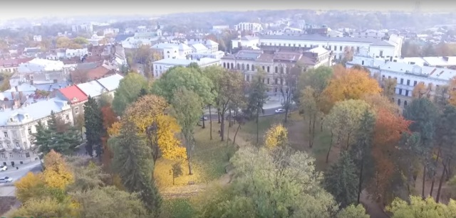У сквері на площі Юра у Львові зріжуть дерева