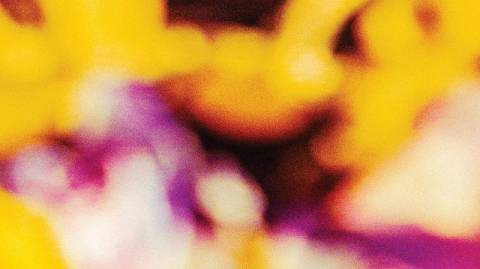 Погода на четвер: без опадів, +24°C