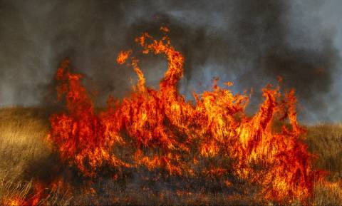 Vøvk "Litera" (2025)