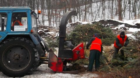 У Львові можна буде здати ялинки на утилізацію. Адреси