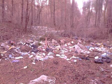 На Жовківщині у лісі виявили сміттєзвалище