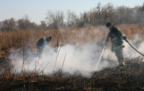 За добу на Львівщині виникло 2 пожежі торфу