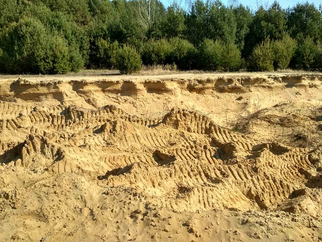 На Яворівщині з лісу незаконно вивозили пісок