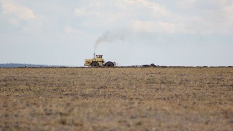 В Україні підтримуватимуть сільське господарство та виробництво харчових продуктів