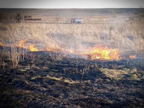 За добу на Львівщині зафіксували 13 пожеж сухостою