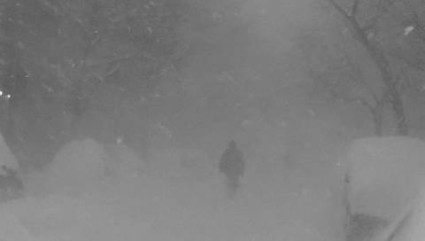 Погода на середу: сніг з дощем, -1°C