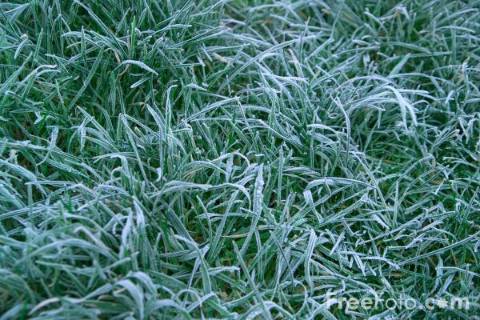 Погодні умови у Львові до вихідних суттєво погіршаться