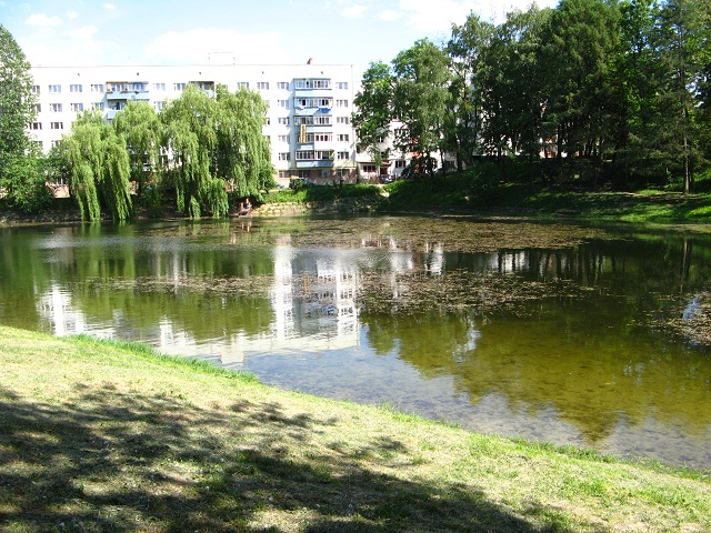 У озері одного з львівських парків втопилася людина