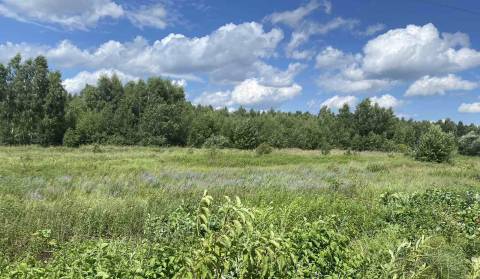 Влада Львова виграла апеляцію щодо однієї з ділянок заказника Торфовище Білогорща