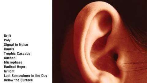 Погода на п'ятницю: без опадів, +10°C