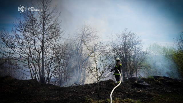 За добу на Львівщині зафіксували майже 20 пожеж сухостою