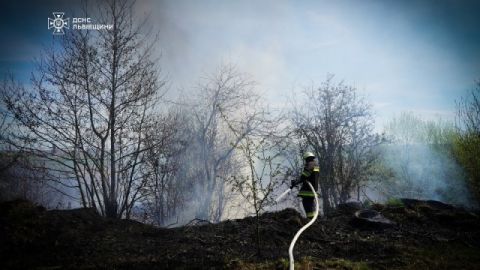 За добу на Львівщині зафіксували більше 15 пожеж сухостою