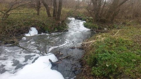 У Львівському передмісті виявили забруднення річки