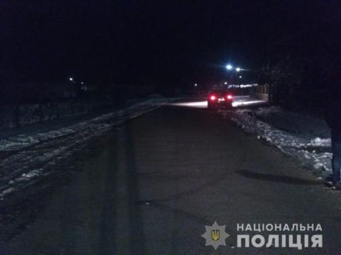 На Дрогобиччині водій Renault Duster збив школярку