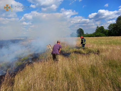 За добу на Львівщині зафіксували 8 пожеж сухостою