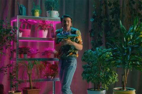 Як зробити стелажі для розсади своїми руками?