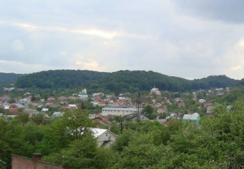 Львівська облрада голосуватиме за зміну статусу Винник