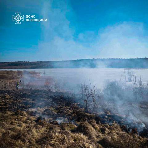 На Дрогобиччині зафіксували пожежу сухої трави