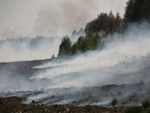МНС ліквідувало загорання торфу у Яворівському районі